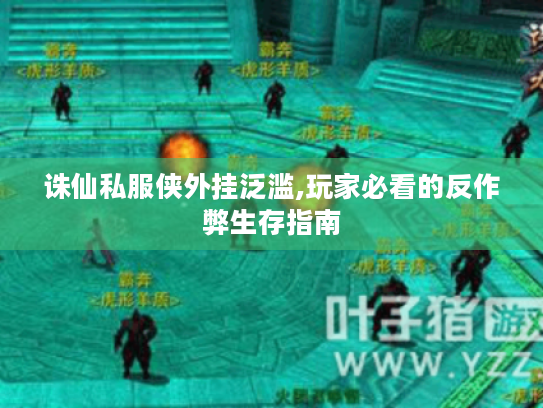 诛仙私服侠外挂泛滥,玩家必看的反作弊生存指南