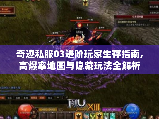 奇迹私服03进阶玩家生存指南,高爆率地图与隐藏玩法全解析