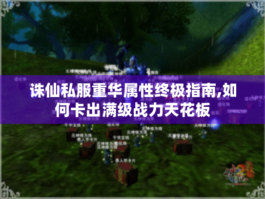 诛仙私服重华属性终极指南,如何卡出满级战力天花板