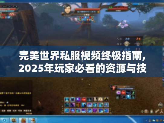 完美世界私服视频终极指南,2025年玩家必看的资源与技巧 完美世界私服视频终极指南,2025年玩家必看的资源与技巧