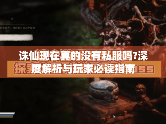 诛仙现在真的没有私服吗?深度解析与玩家必读指南