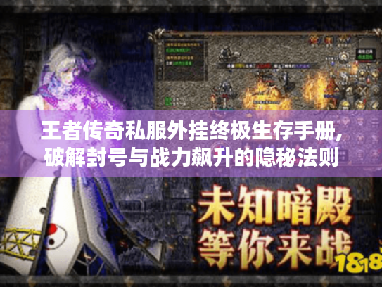 王者传奇私服外挂终极生存手册,破解封号与战力飙升的隐秘法则 王者传奇私服外挂终极生存手册,破解封号与战力飙升的隐秘法则