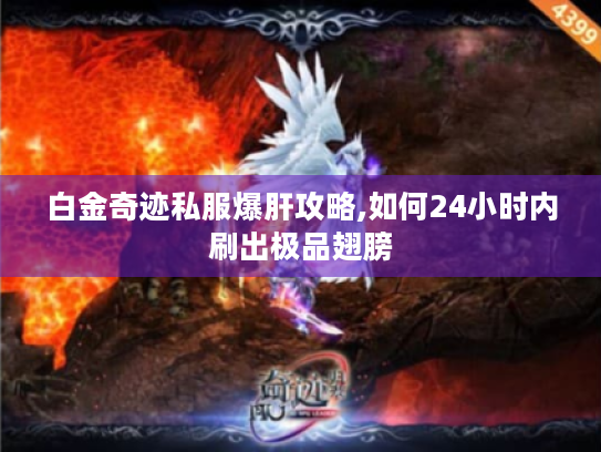 白金奇迹私服爆肝攻略,如何24小时内刷出极品翅膀 白金奇迹私服爆肝攻略,如何24小时内刷出极品翅膀