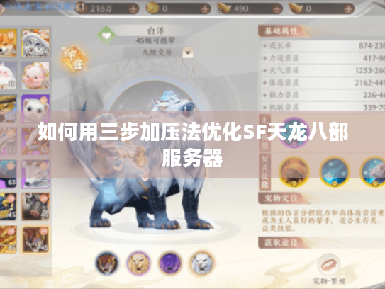 如何用三步加压法优化SF天龙八部服务器 如何用三步加压法优化SF天龙八部服务器