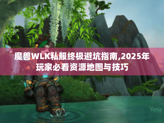 魔兽WLK私服终极避坑指南,2025年玩家必看资源地图与技巧