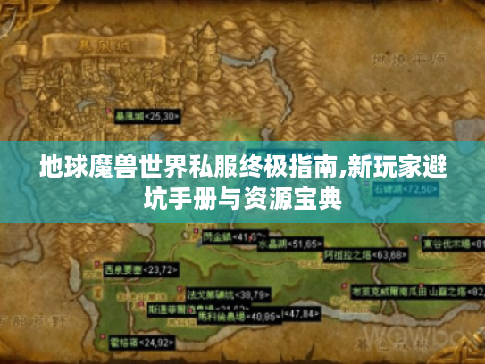 地球魔兽世界私服终极指南,新玩家避坑手册与资源宝典