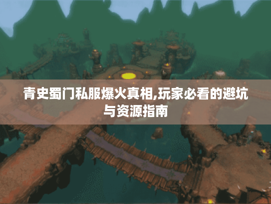 青史蜀门私服爆火真相,玩家必看的避坑与资源指南 青史蜀门私服爆火真相,玩家必看的避坑与资源指南