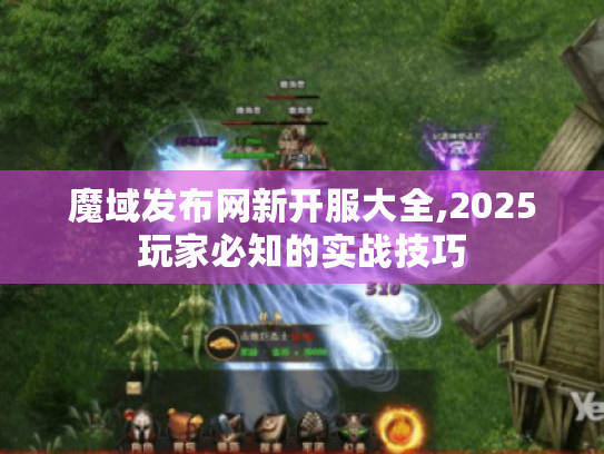 魔域发布网新开服大全,2025玩家必知的实战技巧 魔域发布网新开服大全,2025玩家必知的实战技巧