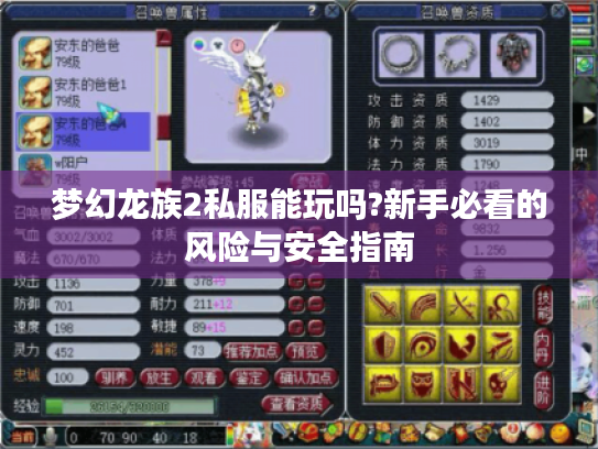 梦幻龙族2私服能玩吗?新手必看的风险与安全指南 梦幻龙族2私服能玩吗?新手必看的风险与安全指南