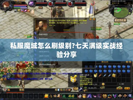 私服魔域怎么刷级别?七天满级实战经验分享