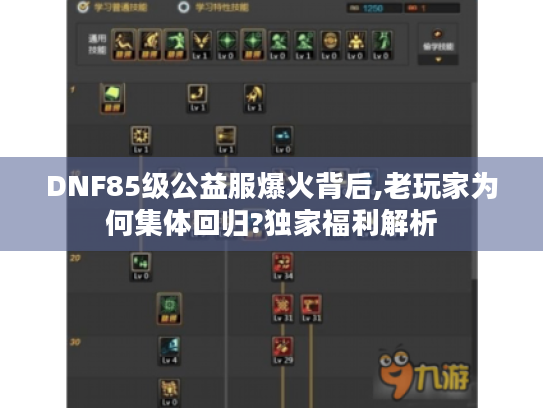 DNF85级公益服爆火背后,老玩家为何集体回归?独家福利解析 DNF85级公益服爆火背后,老玩家为何集体回归?独家福利解析