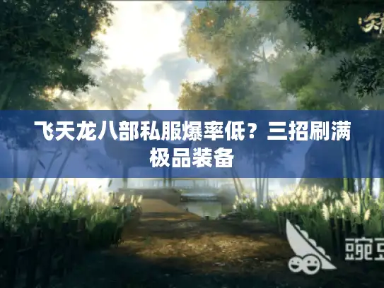 飞天龙八部私服爆率低？三招刷满极品装备