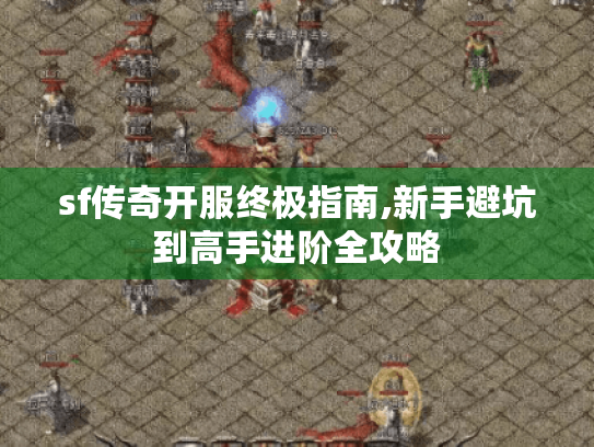 sf传奇开服终极指南,新手避坑到高手进阶全攻略 sf传奇开服终极指南,新手避坑到高手进阶全攻略