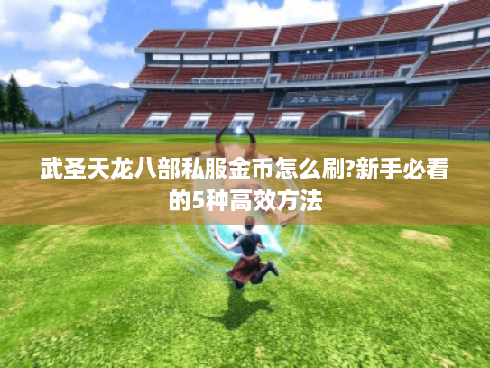 武圣天龙八部私服金币怎么刷?新手必看的5种高效方法 武圣天龙八部私服金币怎么刷?新手必看的5种高效方法