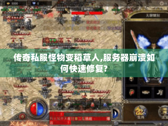 传奇私服怪物变稻草人,服务器崩溃如何快速修复? 传奇私服怪物变稻草人,服务器崩溃如何快速修复?