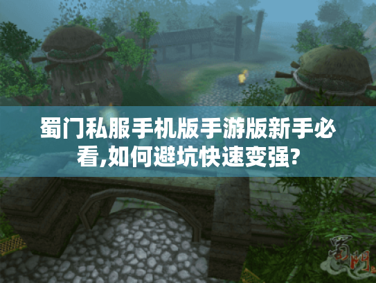 蜀门私服手机版手游版新手必看,如何避坑快速变强? 蜀门私服手机版手游版新手必看,如何避坑快速变强?
