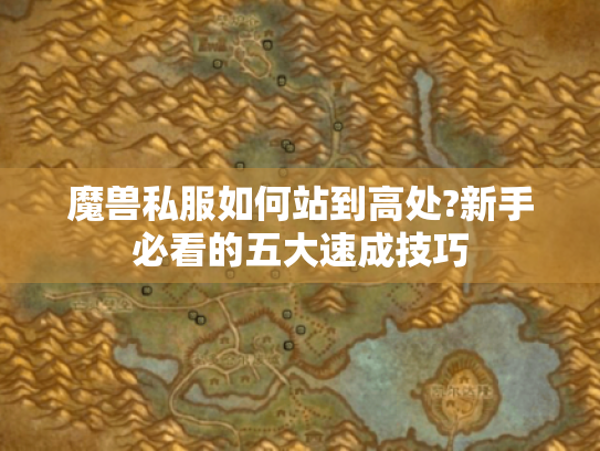 魔兽私服如何站到高处?新手必看的五大速成技巧