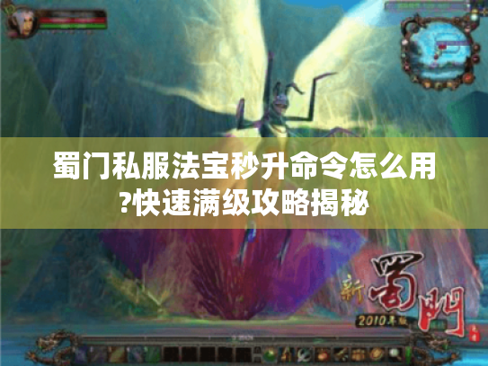 蜀门私服法宝秒升命令怎么用?快速满级攻略揭秘