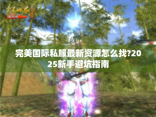 完美国际私服最新资源怎么找?2025新手避坑指南