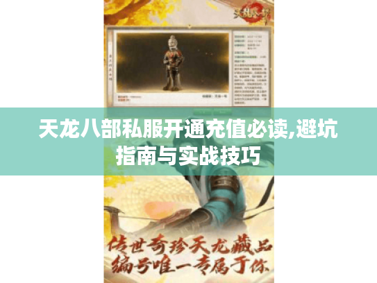 天龙八部私服开通充值必读,避坑指南与实战技巧 天龙八部私服开通充值必读,避坑指南与实战技巧