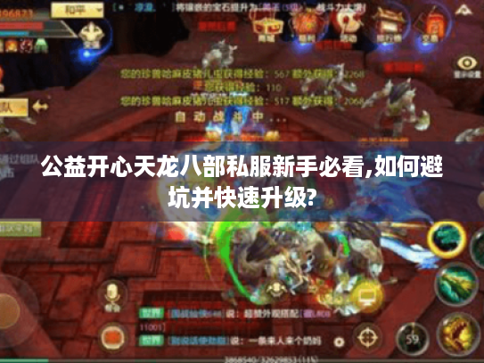 公益开心天龙八部私服新手必看,如何避坑并快速升级? 公益开心天龙八部私服新手必看,如何避坑并快速升级?