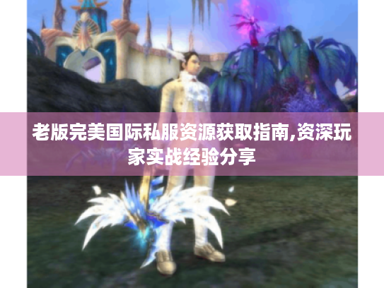 老版完美国际私服资源获取指南,资深玩家实战经验分享 老版完美国际私服资源获取指南,资深玩家实战经验分享