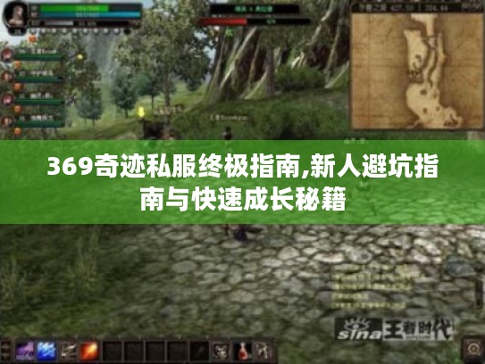369奇迹私服终极指南,新人避坑指南与快速成长秘籍 369奇迹私服终极指南,新人避坑指南与快速成长秘籍