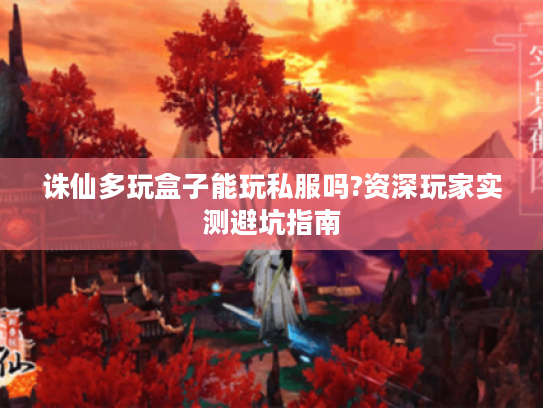 诛仙多玩盒子能玩私服吗?资深玩家实测避坑指南 诛仙多玩盒子能玩私服吗?资深玩家实测避坑指南