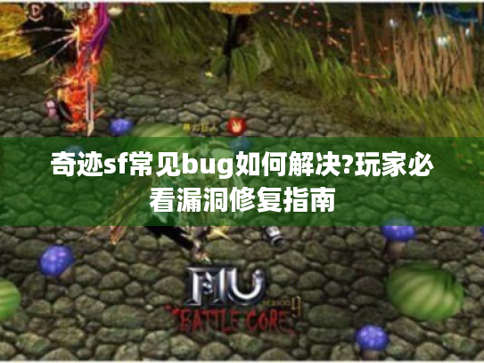 奇迹sf常见bug如何解决?玩家必看漏洞修复指南
