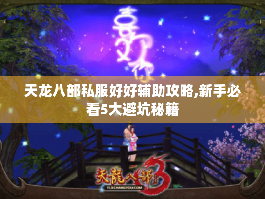 天龙八部私服好好辅助攻略,新手必看5大避坑秘籍 天龙八部私服好好辅助攻略,新手必看5大避坑秘籍