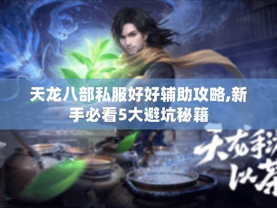 天龙八部私服好好辅助攻略,新手必看5大避坑秘籍 天龙八部私服好好辅助攻略,新手必看5大避坑秘籍