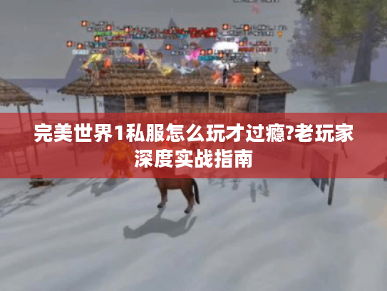 完美世界1私服怎么玩才过瘾?老玩家深度实战指南 完美世界1私服怎么玩才过瘾?老玩家深度实战指南