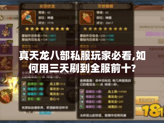 真天龙八部私服玩家必看,如何用三天刷到全服前十? 真天龙八部私服玩家必看,如何用三天刷到全服前十?