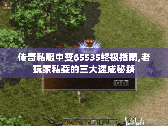 传奇私服中变65535终极指南,老玩家私藏的三大速成秘籍