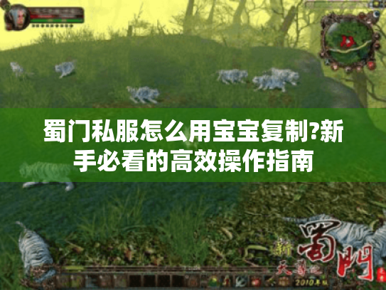 蜀门私服怎么用宝宝复制?新手必看的高效操作指南 蜀门私服怎么用宝宝复制?新手必看的高效操作指南