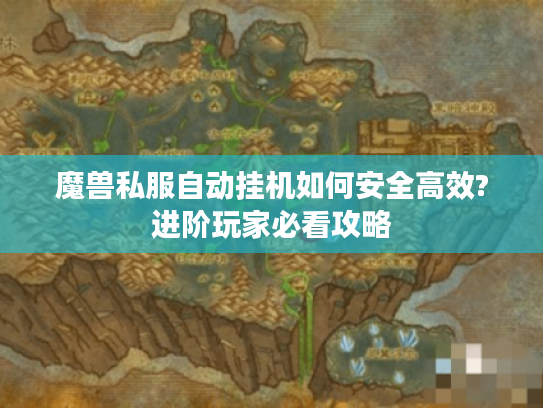 魔兽私服自动挂机如何安全高效?进阶玩家必看攻略