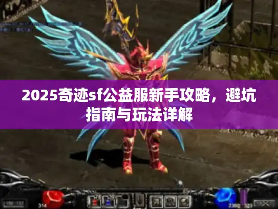 2025奇迹sf公益服新手攻略，避坑指南与玩法详解