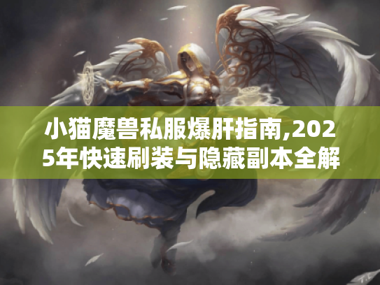 小猫魔兽私服爆肝指南,2025年快速刷装与隐藏副本全解析