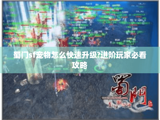 蜀门sf宠物怎么快速升级?进阶玩家必看攻略
