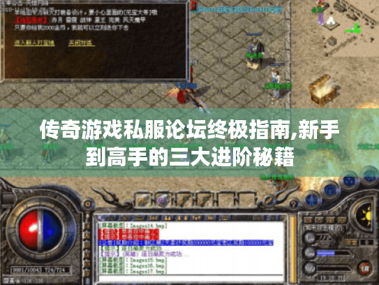 传奇游戏私服论坛终极指南,新手到高手的三大进阶秘籍