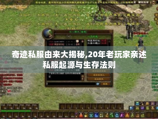 奇迹私服由来大揭秘,20年老玩家亲述私服起源与生存法则