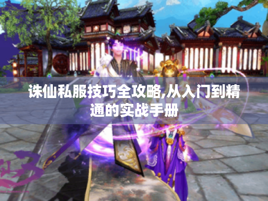 诛仙私服技巧全攻略,从入门到精通的实战手册 诛仙私服技巧全攻略,从入门到精通的实战手册