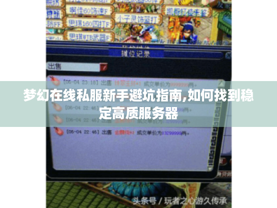 梦幻在线私服新手避坑指南,如何找到稳定高质服务器