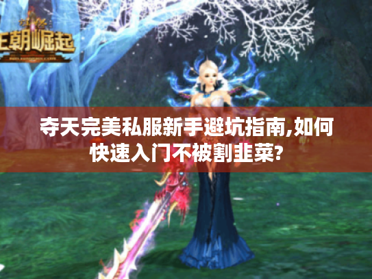 夺天完美私服新手避坑指南,如何快速入门不被割韭菜?