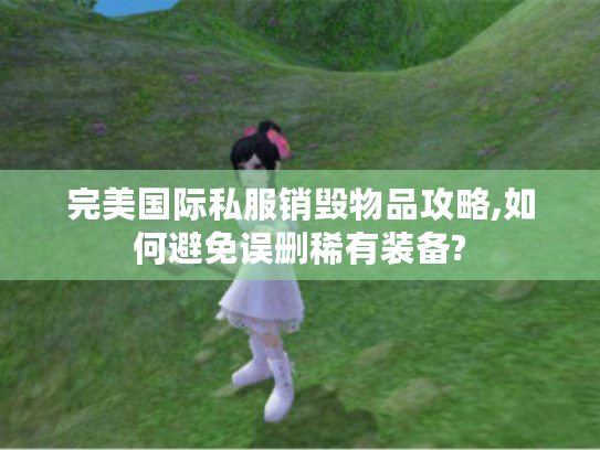 完美国际私服销毁物品攻略,如何避免误删稀有装备?