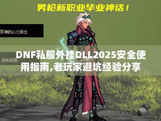 DNF私服外挂DLL2025安全使用指南,老玩家避坑经验分享