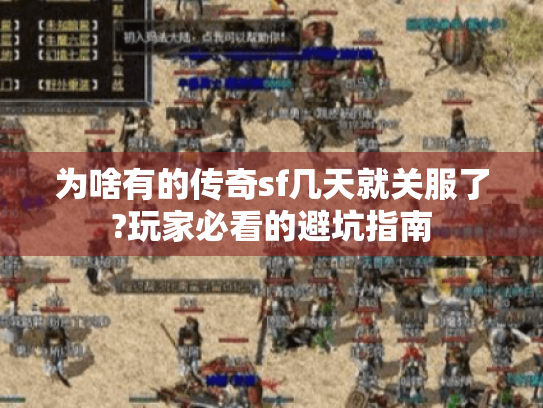 为啥有的传奇sf几天就关服了?玩家必看的避坑指南 为啥有的传奇sf几天就关服了?玩家必看的避坑指南