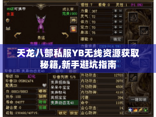 天龙八部私服YB无线资源获取秘籍,新手避坑指南 天龙八部私服YB无线资源获取秘籍,新手避坑指南
