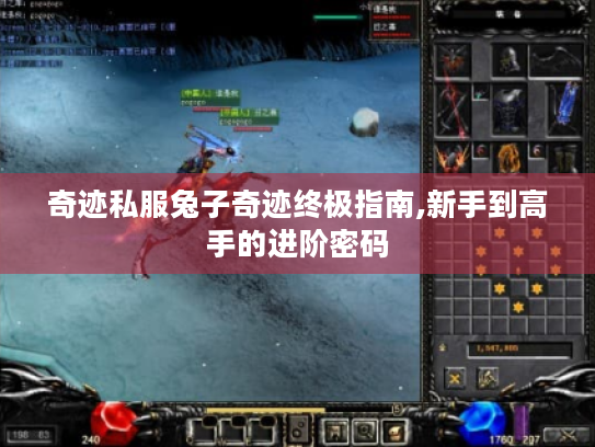 奇迹私服兔子奇迹终极指南,新手到高手的进阶密码 奇迹私服兔子奇迹终极指南,新手到高手的进阶密码