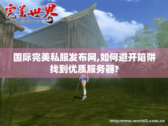 国际完美私服发布网,如何避开陷阱找到优质服务器?